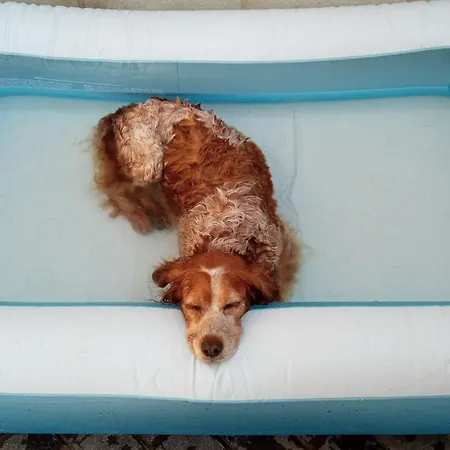 Goni Дом отдыха Кабаньяс-де-Эбро