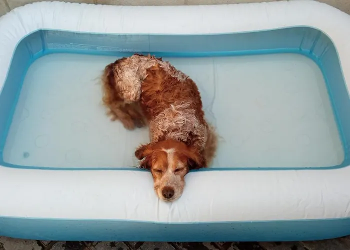 Goni Casa vacanze Cabañas de Ebro